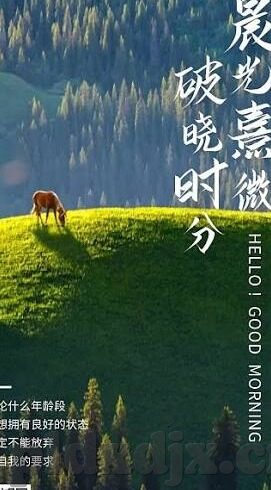 91亚洲国产成人久久精品麻豆-打造健康网络空间的必要性，自助与共进