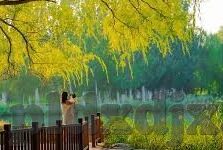 大象传媒视频网站直播-大象传媒视频网站直播，重塑娱乐与信息传播的新篇章