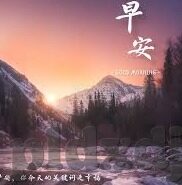 类似于糖心直播的app-寻找替代糖心直播的数字平台新选择