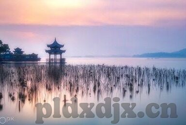 麻豆传媒是啥意思-网络术语探析，麻豆传媒——不含特定词汇的另一种视角